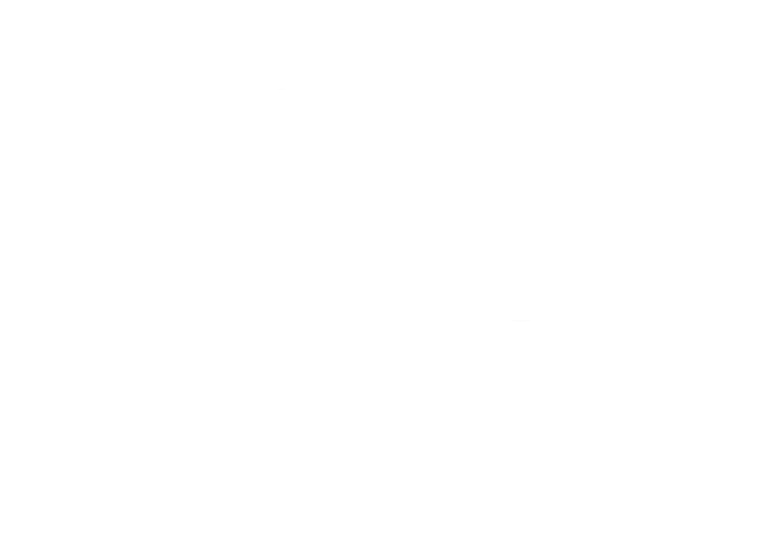 Bliss Mechanics logo